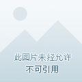 龙魂九天手游