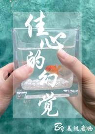 佳心的幻觉(1v1)(妓女和嫖客)