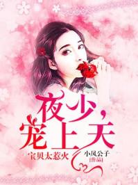 宝贝太惹火:夜少,宠上天