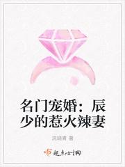 名门宠婚:辰少的惹火辣妻